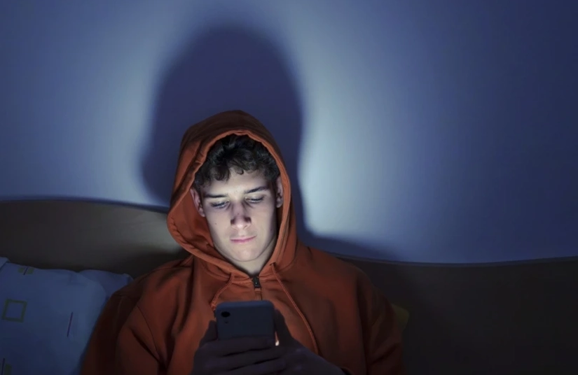 Segurança, privacidade e aliciamento online